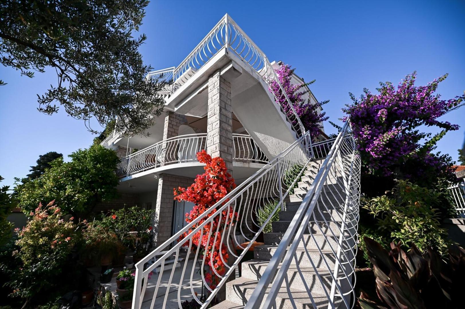 Apartment Rajna Biograd Na Moru Bagian luar foto